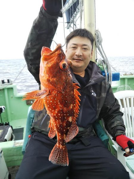 船・ジギング釣り果・カンパチ・サワラ・ワラサ・アジ